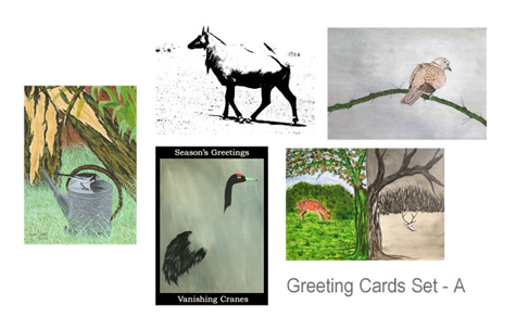 Wildlife Art Greeting Cards