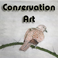 Abstract Art and Conservation