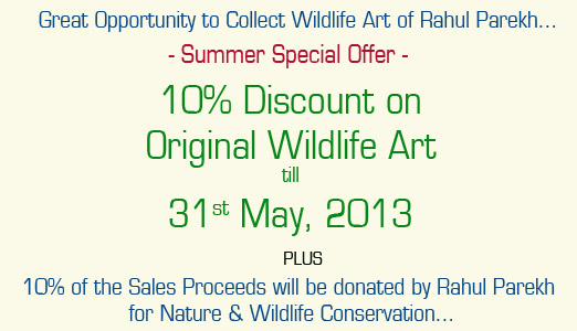 10% Discount on Original Wildlife Art