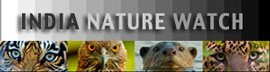 India Natue  Watch : INW