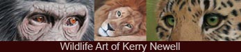 Wildlife Art of Kerry Newell