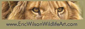 Eric Wilson Wildlife Art