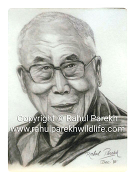 Pencil Portrait of Dalai Lama