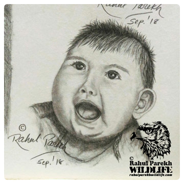 Pencil Portrait of an Infant