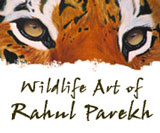 Wildlife Art of Rahul Parekh, India