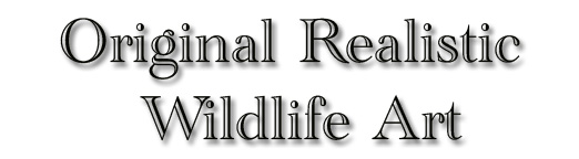 Original Wildlife Art Collection