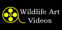 Wildlife Art Videos