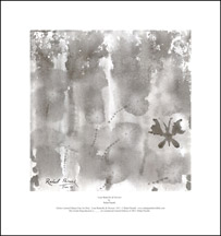Lone Butterfly & Flowers Fine Art Print