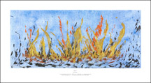 Wildfire Fine Art Print